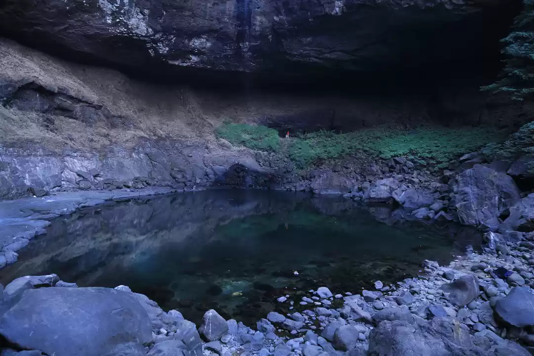 Photo of An essential guide t