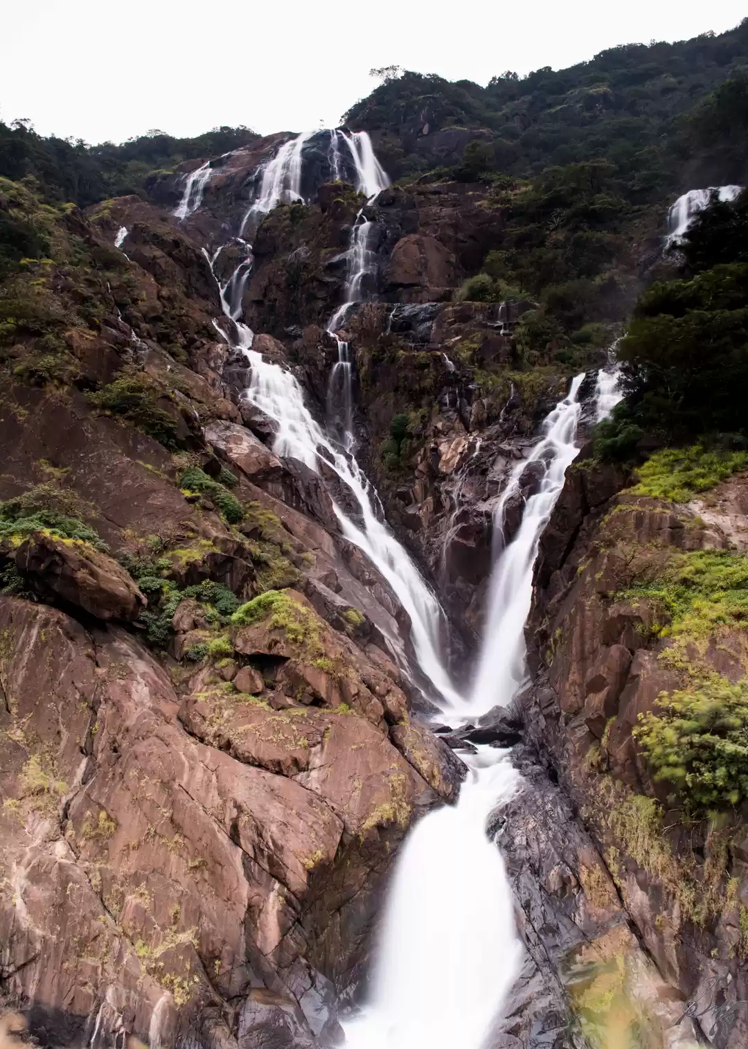 Photo of TTL: Dudhsagar – The