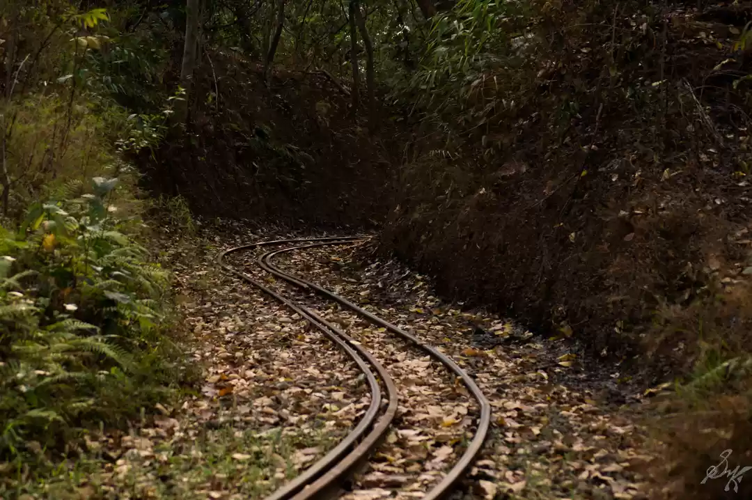 Photo of Darjeeling, in less 