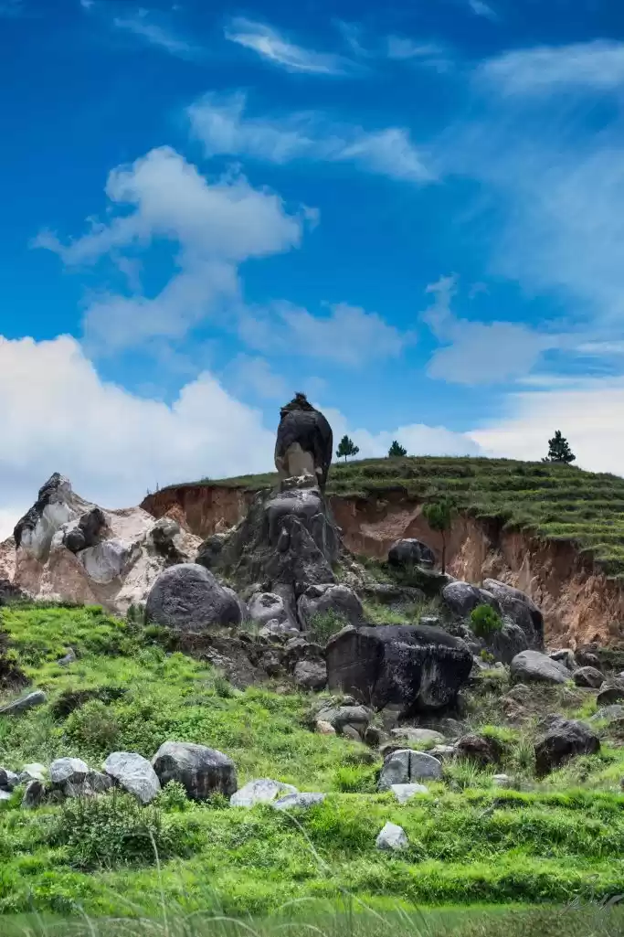 Photo of The North Eastern si