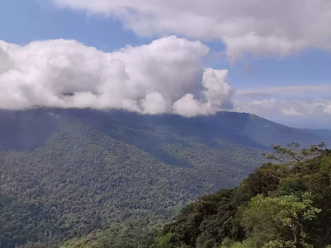 Photo of Sakleshpur - Everyth