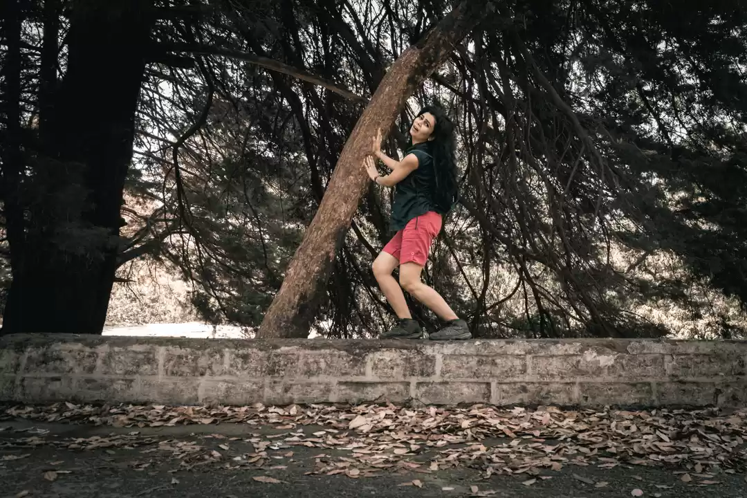 Photo of Lovely Lansdowne !!