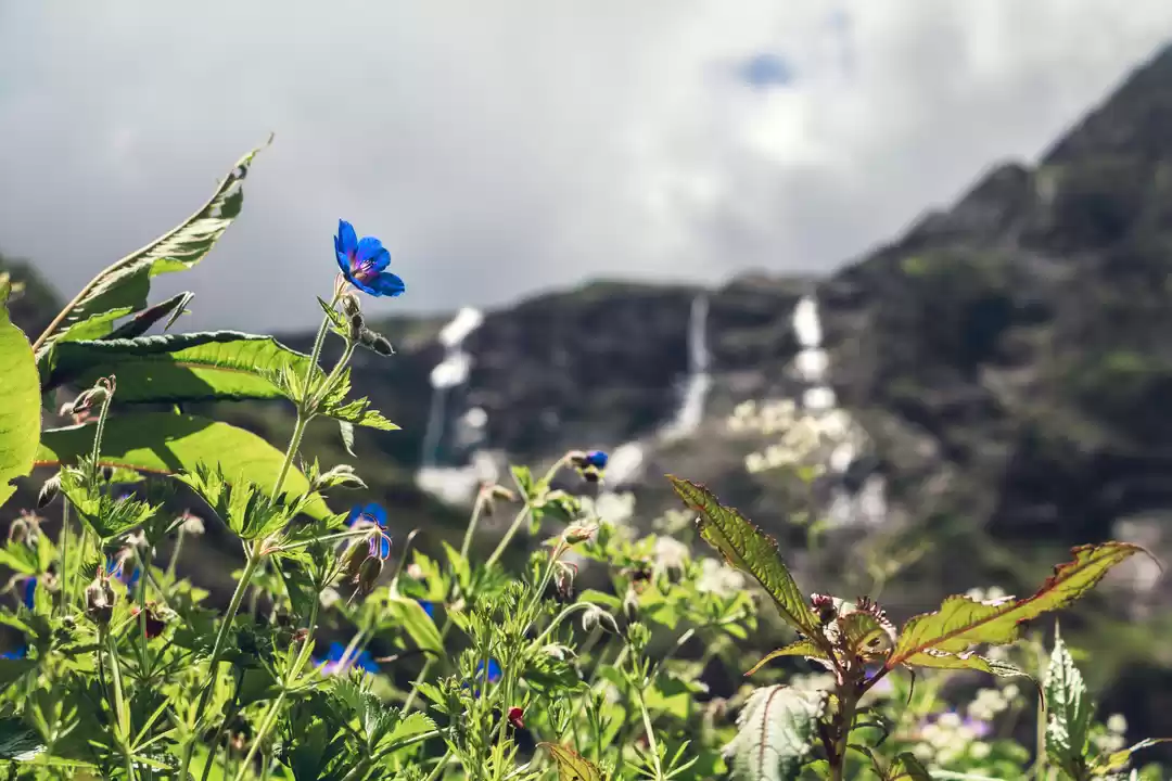 Photo of Haseen Vaadiyan aur 