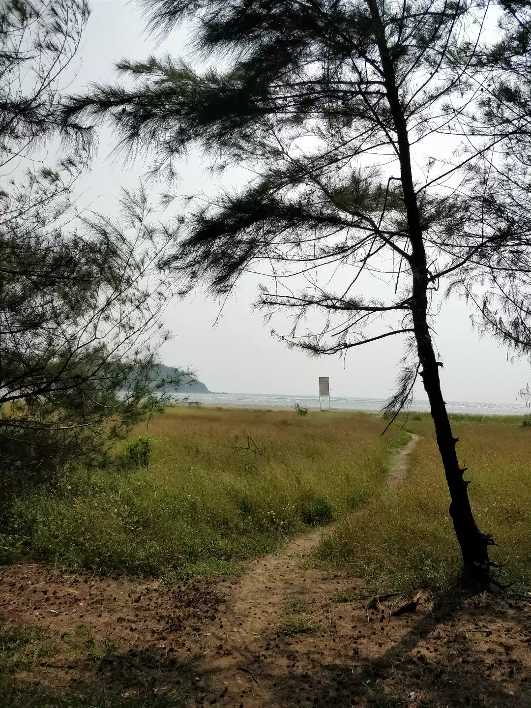 Photo of All about "Bunkker"-