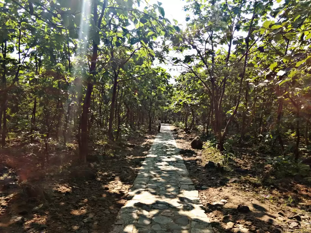 Photo of Base of Girnar mount
