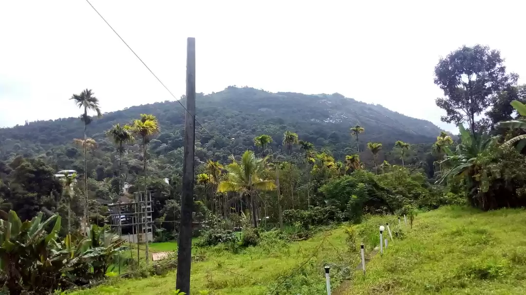 Photo of Chennai to wayanad b