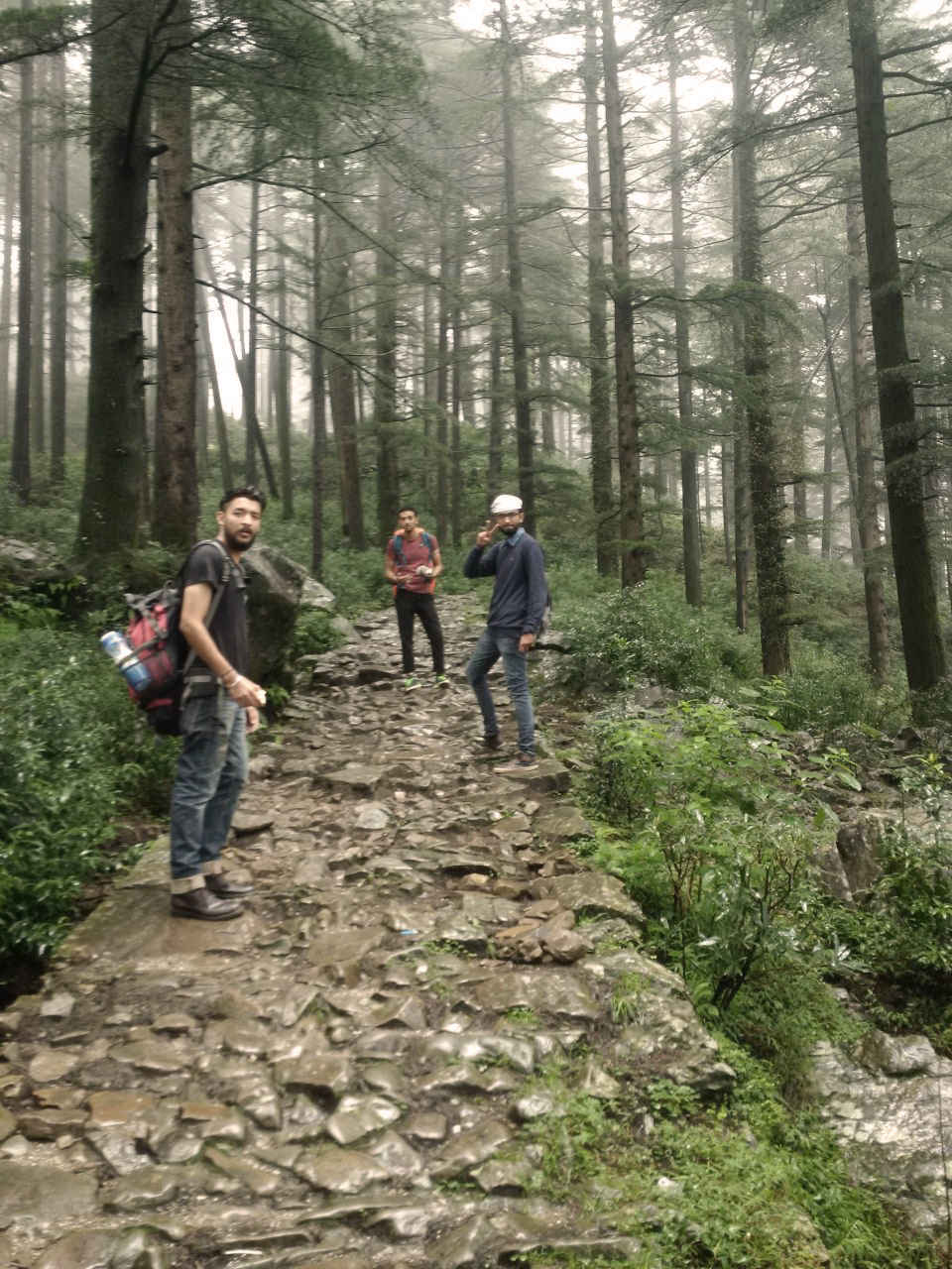 Chandigarh To Dharamshala Distance By Road Chandigarh-Dharamshala-Mcleodganj-Triund - Tripoto