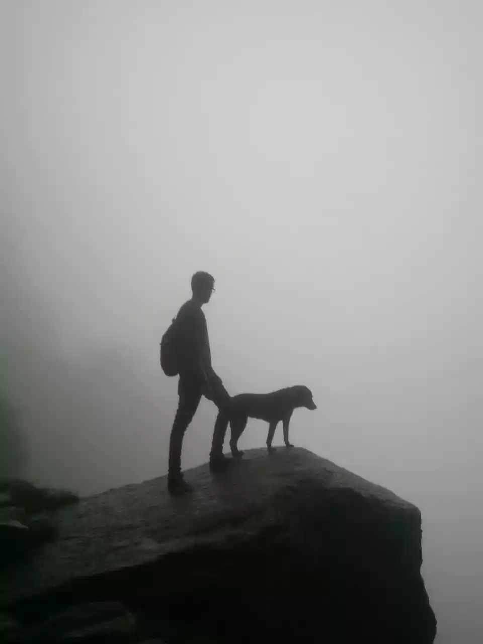 Photo of Chandigarh-Dharamsha