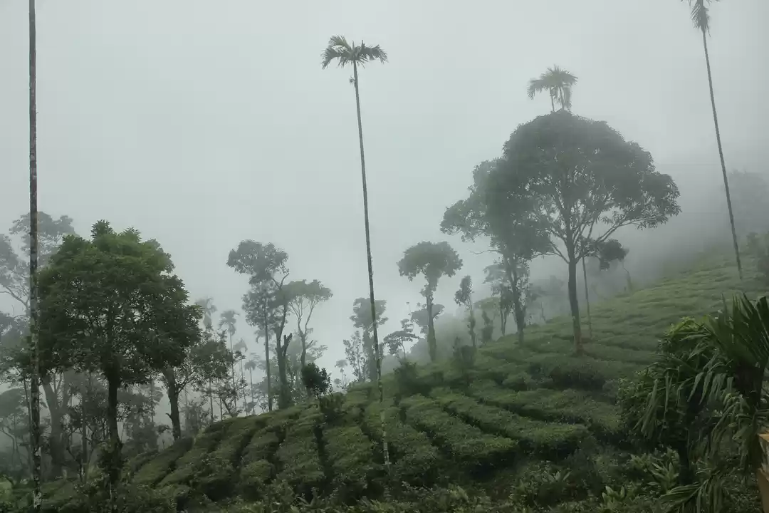 Photo of Solo Travel – How th