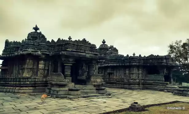 Photo of Rediscovering hoysal