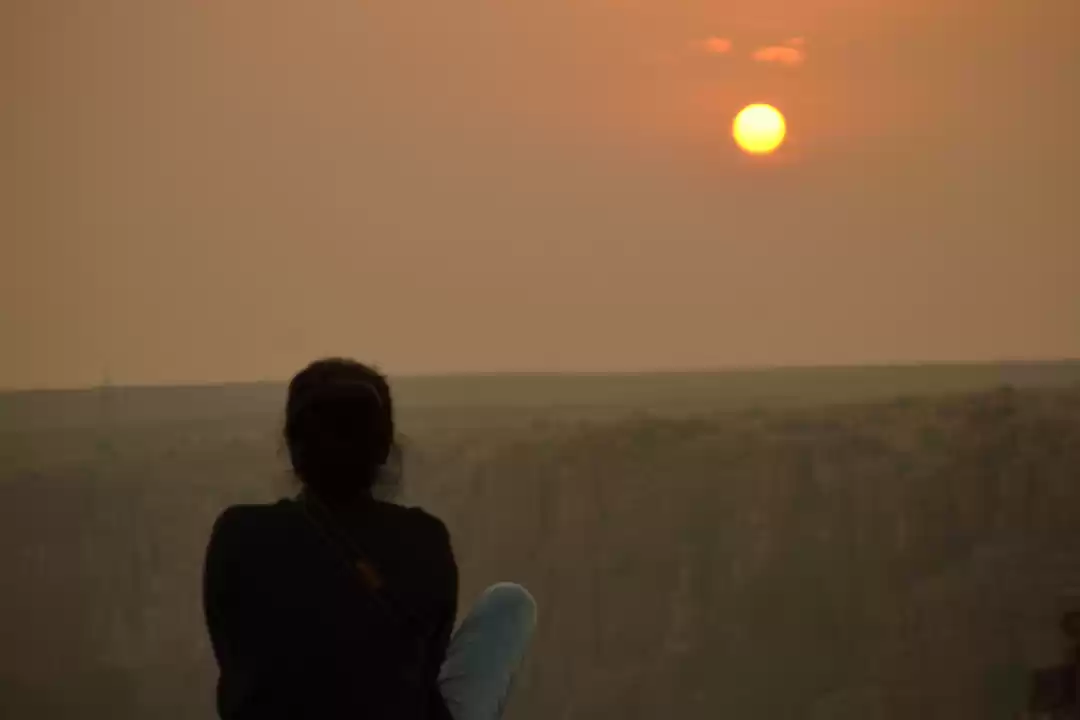 Photo of Havana Gowda