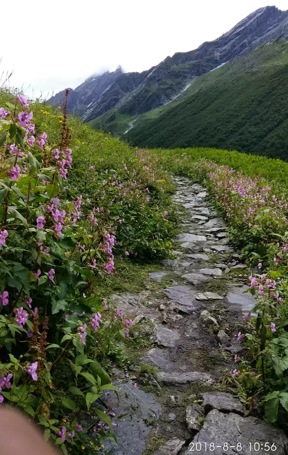 Photo of How my planless solo