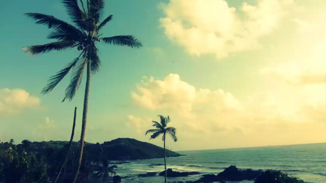 Photo of Random invite to GOA