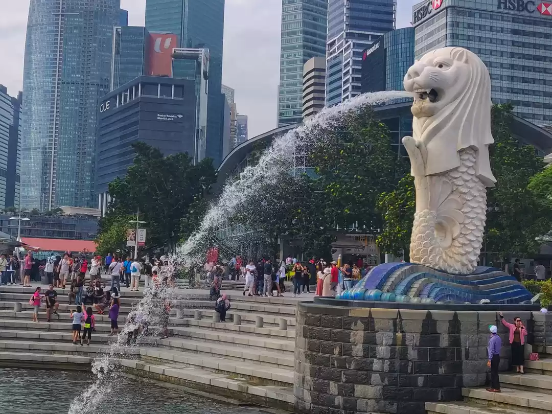 Photo of Singapore free airpo