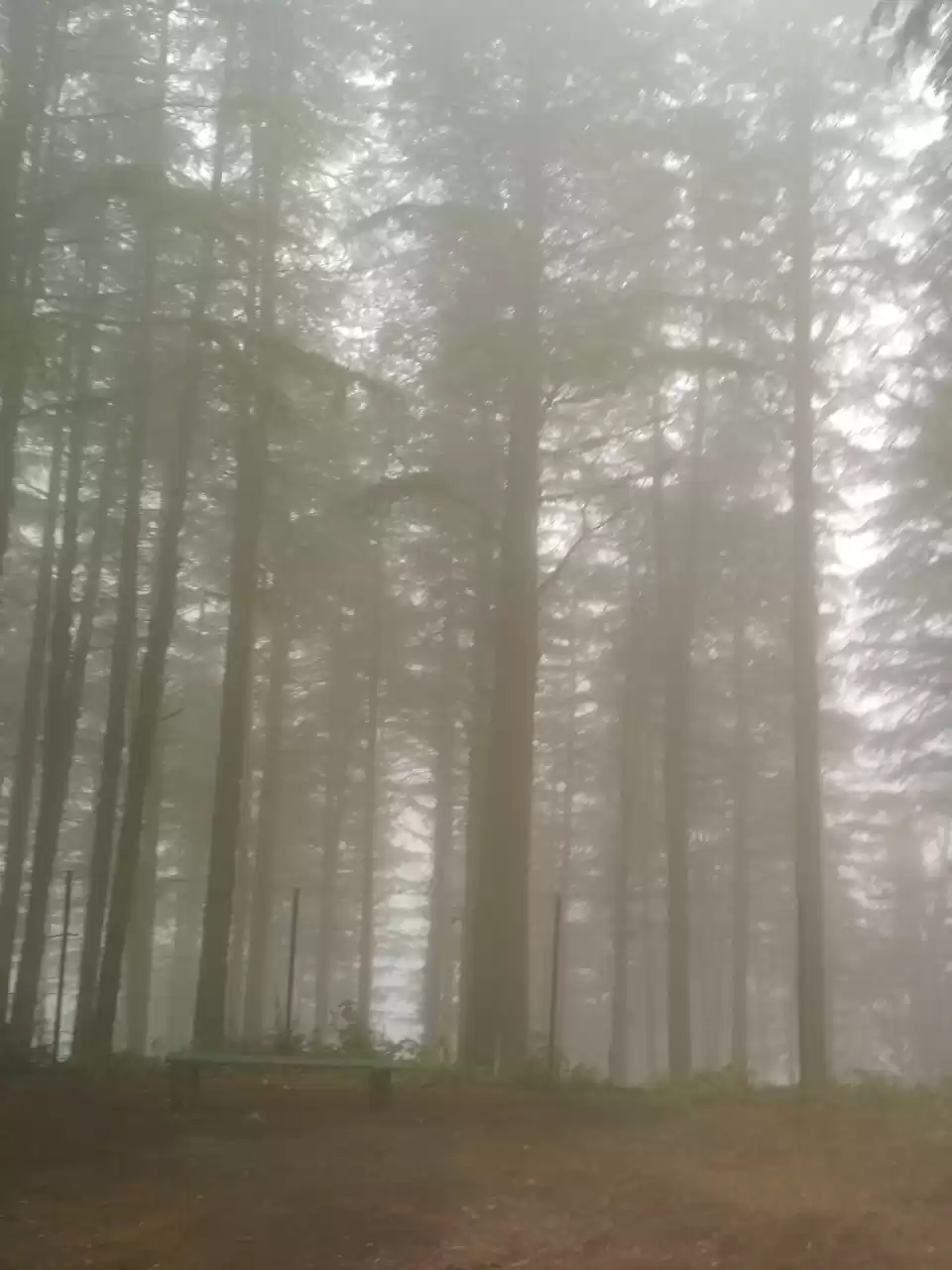 Photo of Staggering Dhanaulti