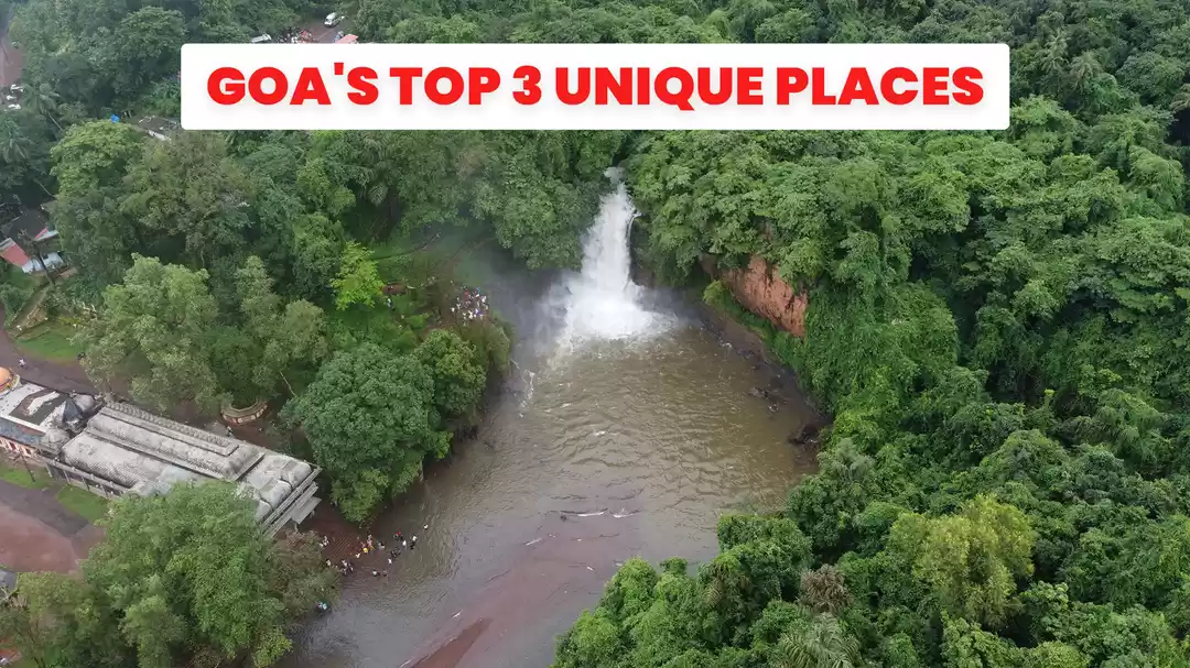 Photo of GOA's top 3 Unique P