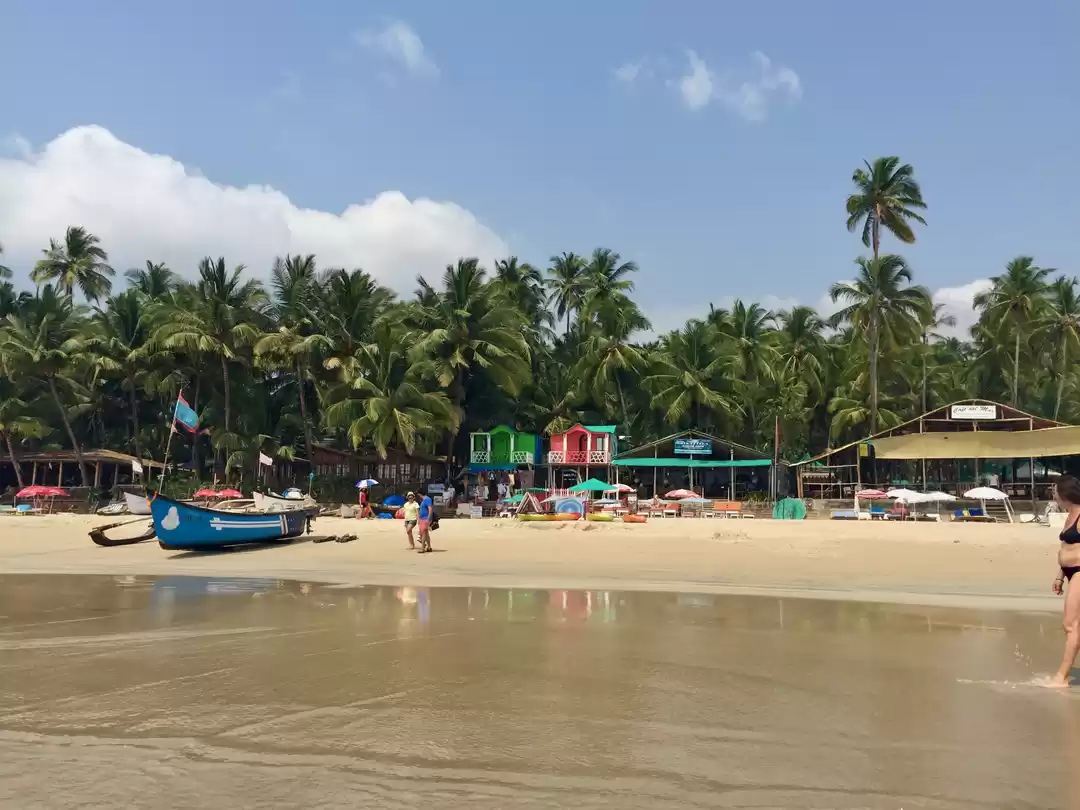 Photo of South Goa Unplugged!