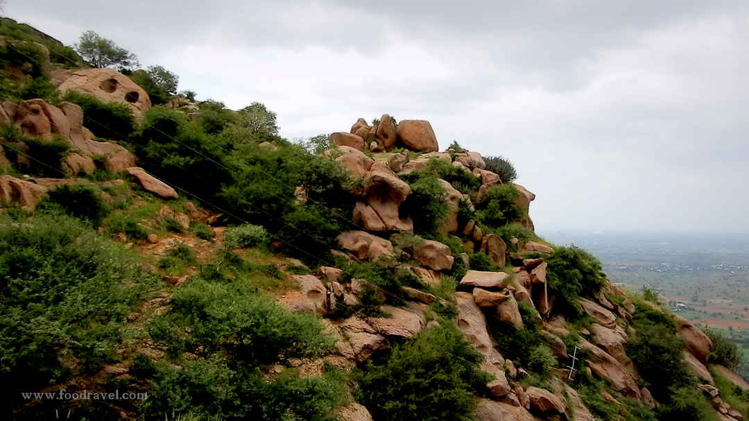 A Journey to an Extinct Volcano and Origin Place of Chyawanprash - Dhosi  Hill - Tripoto