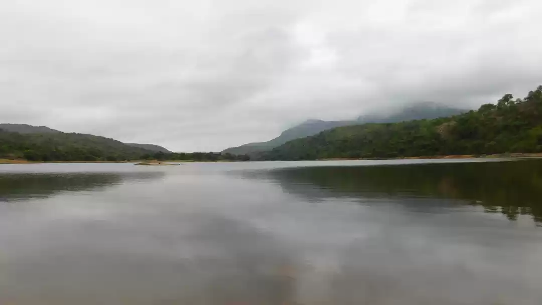 Photo of From the Rush to the