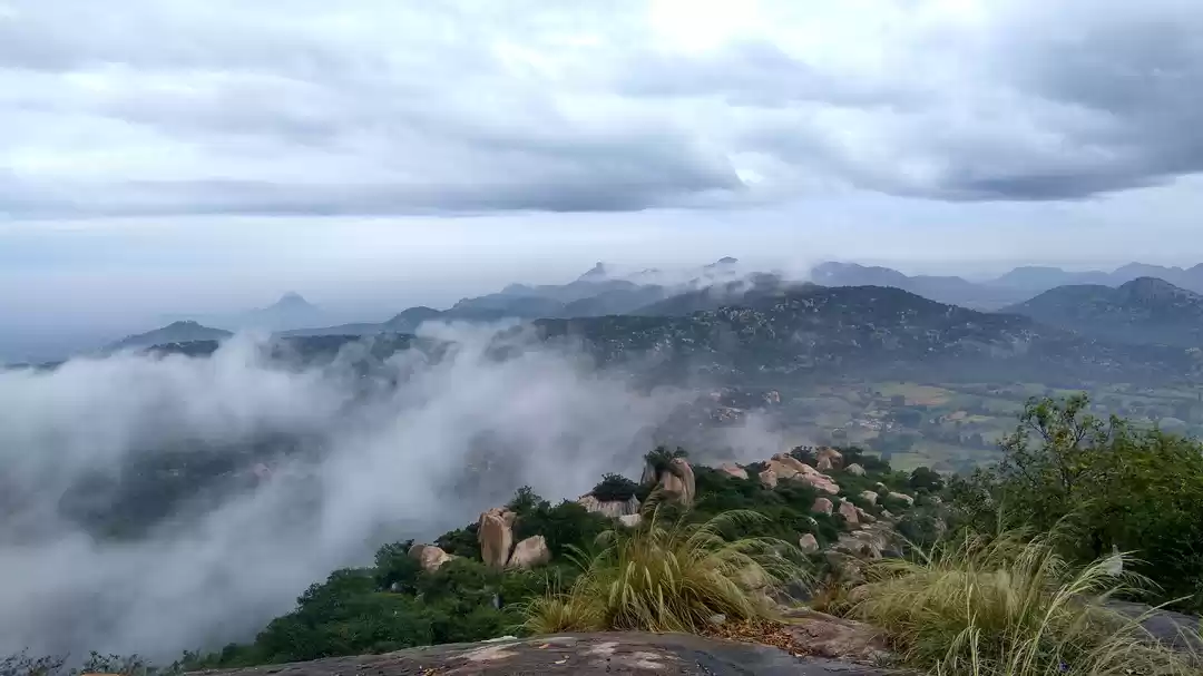 Photo of This is why Avalabet