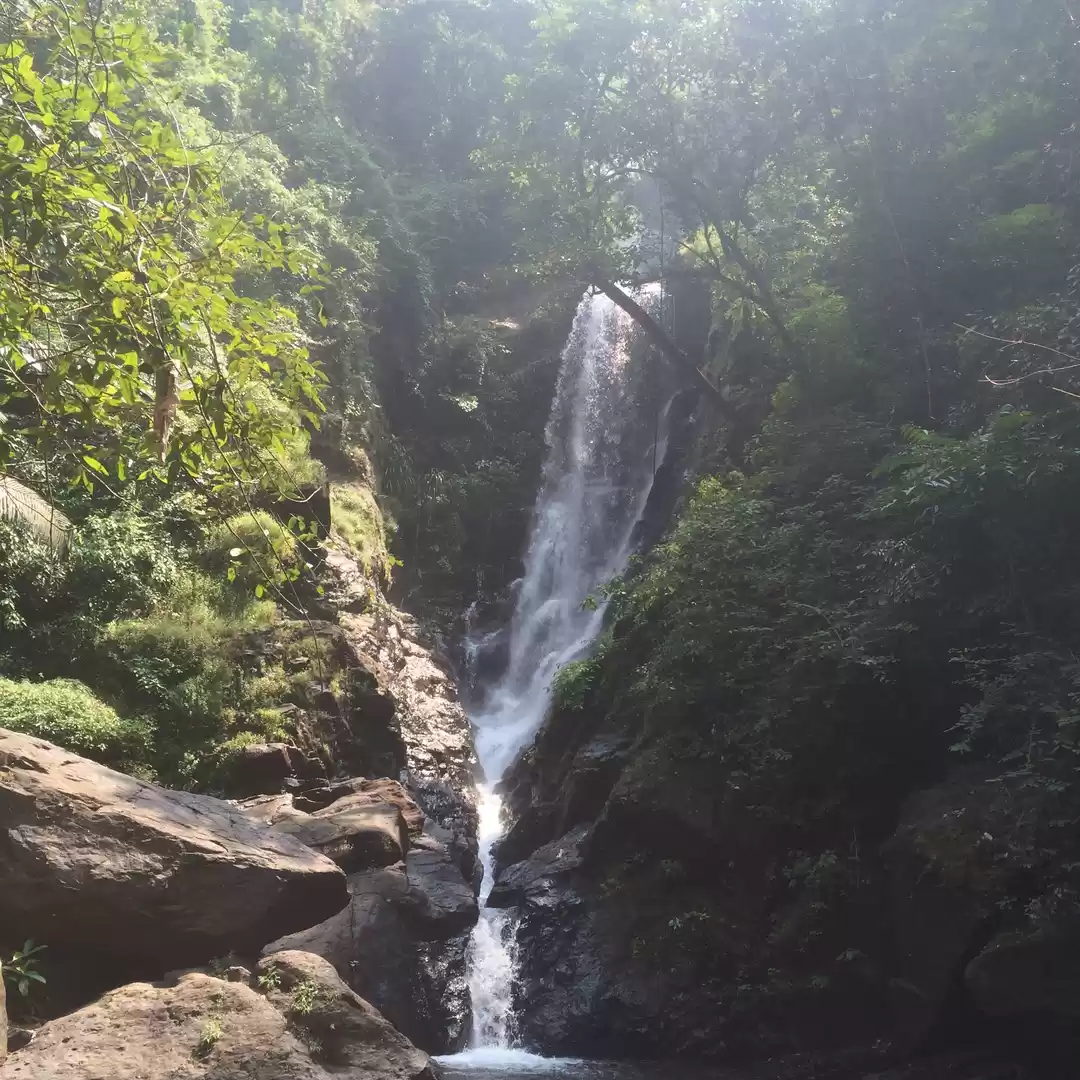 Photo of Take a refreshing hi