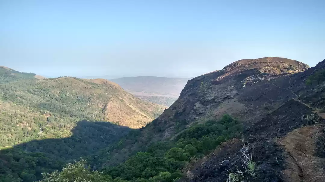 Photo of Z point trek - the t