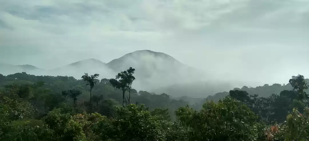 Photo of Bisle Ghat -Treat yo