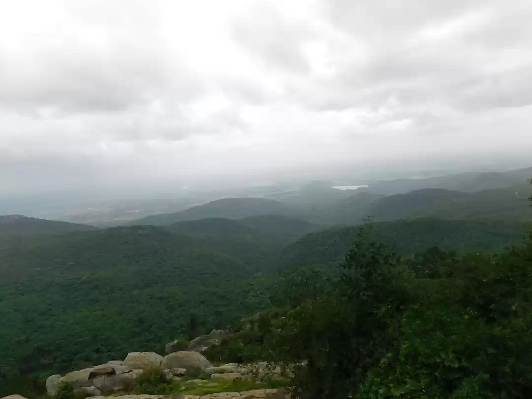 Photo of Treat yourself and y