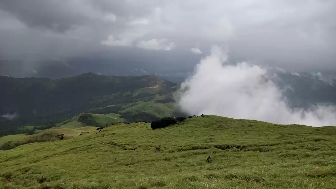 Photo of Test your fitness by