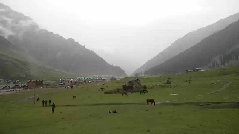 Photo of The Brotherhood of t