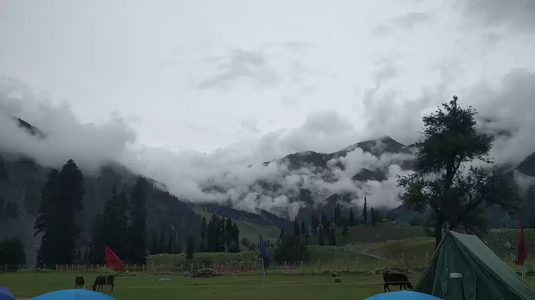 Photo of Mountain Musings 