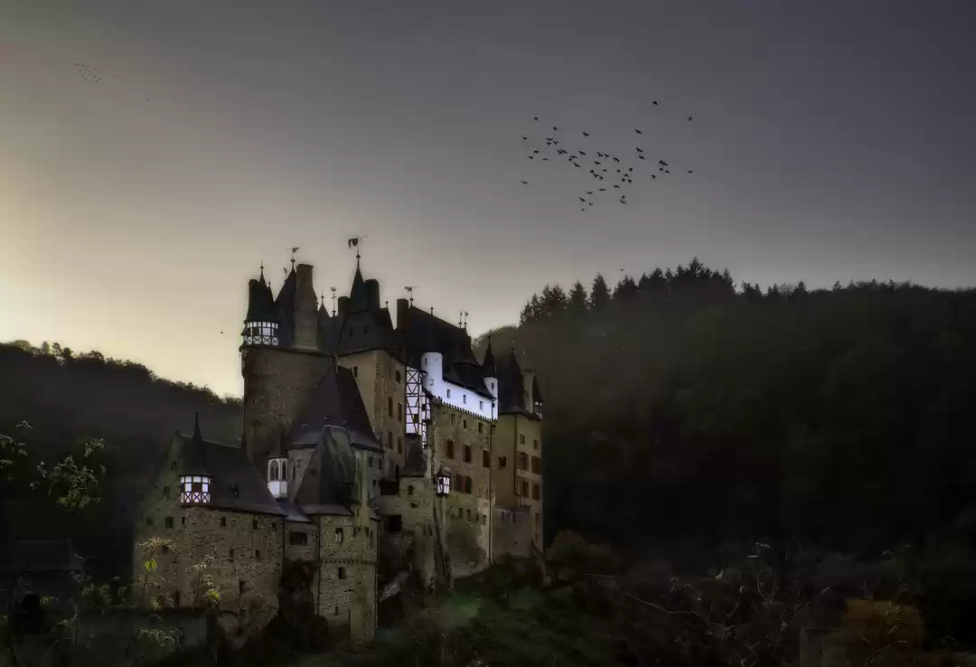 Photo of A Guide To The Fairy