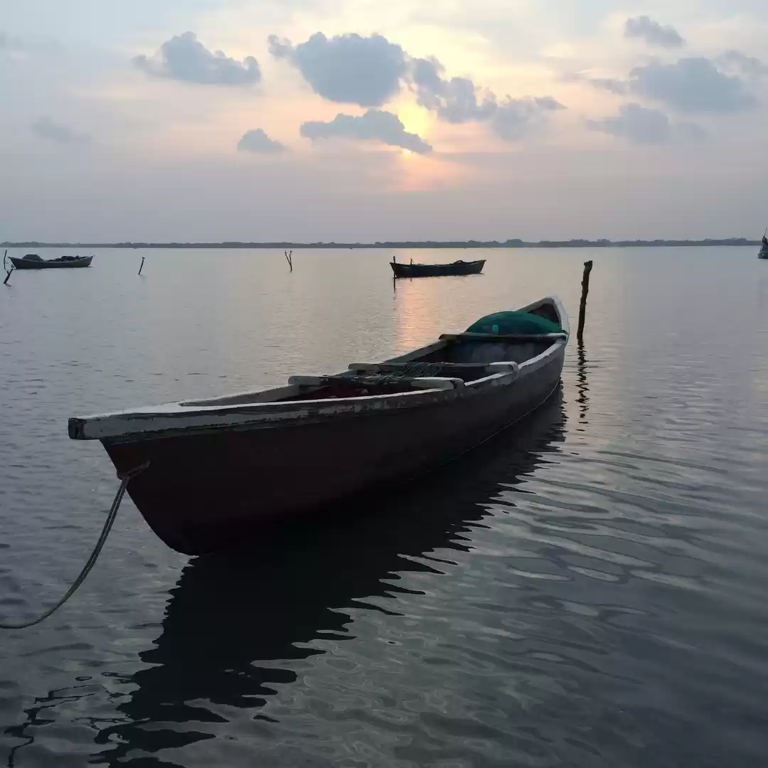 Photo of Things that'll make 