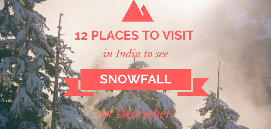 trip to north india in december