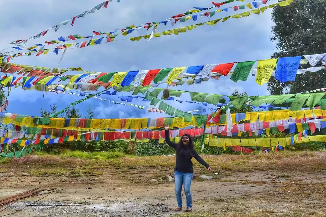 Photo of The Escape Land - #B