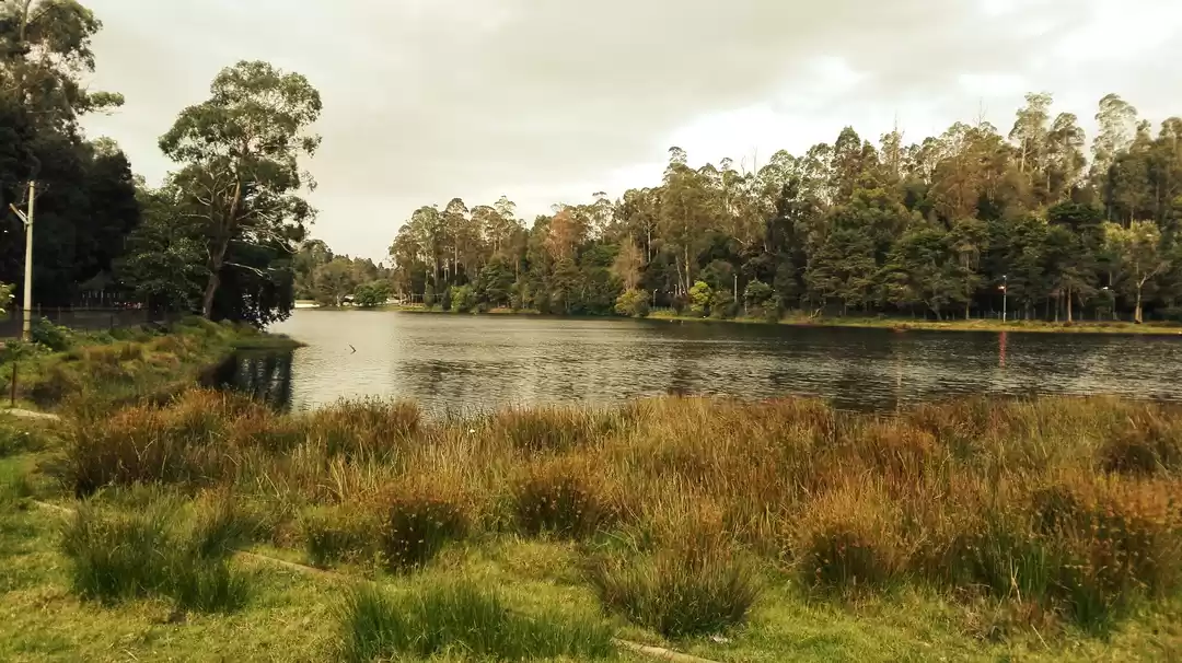 Photo of Kodaikanal: The Prin