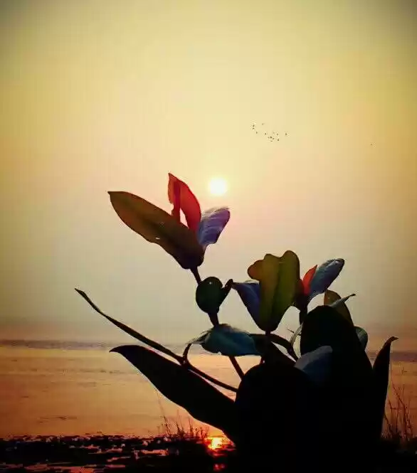 Photo of A Secret Slice of Pa