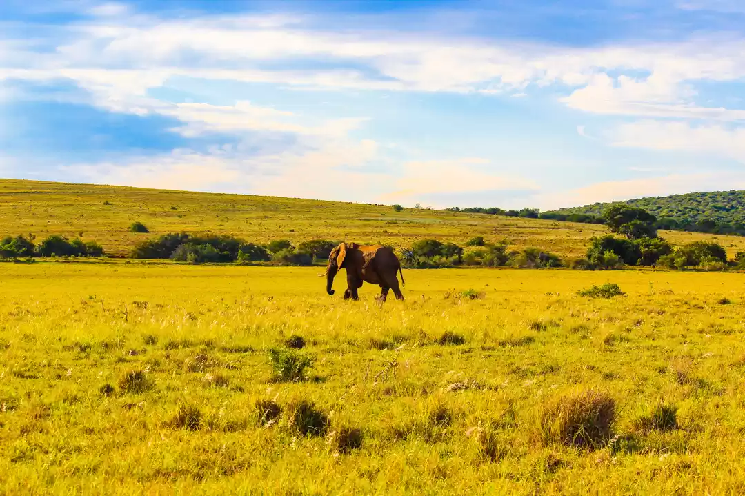 Photo of The A-Z Of Enjoying