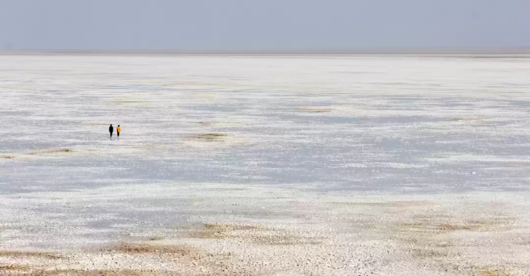 Photo of The definitive guide