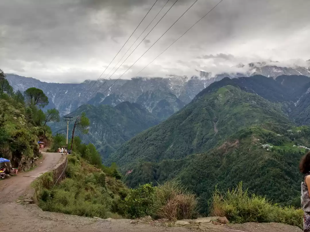 Photo of The Travel Bug!