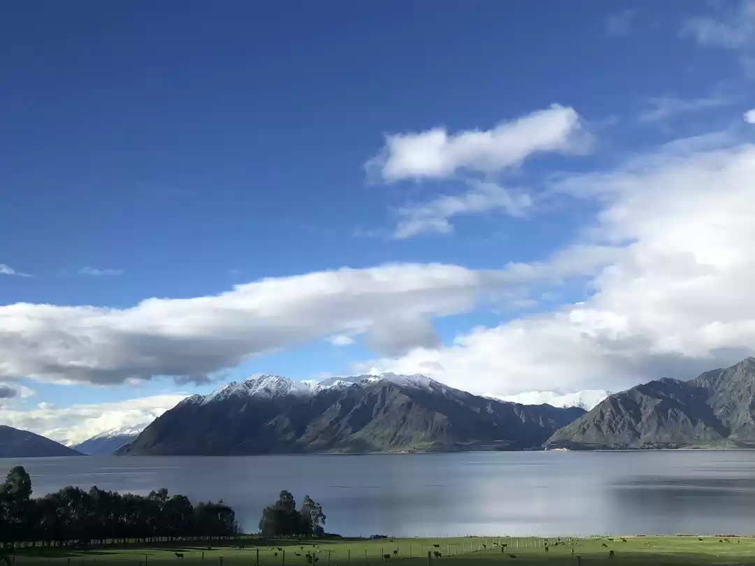 Photo of Never let go your dr