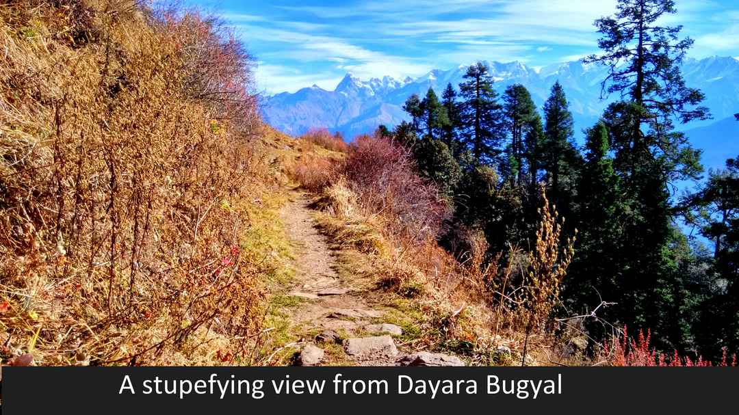 Photo of Dayara Bugyal Trek – Journey to the Nature’s Own Gardens !