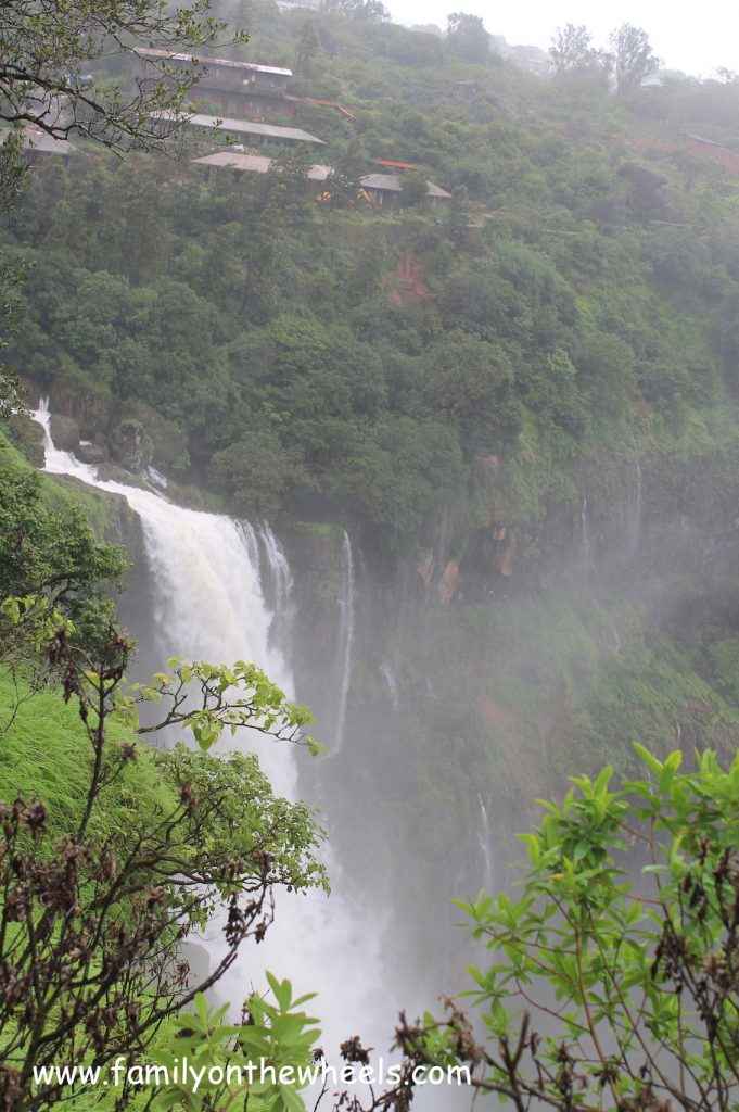 Meet The Land Of Strawberry Lush Green Meadows And Waterfalls Panchgani Tripoto As soon as you walk through our doors, you'll be greeted by the. strawberry lush green meadows