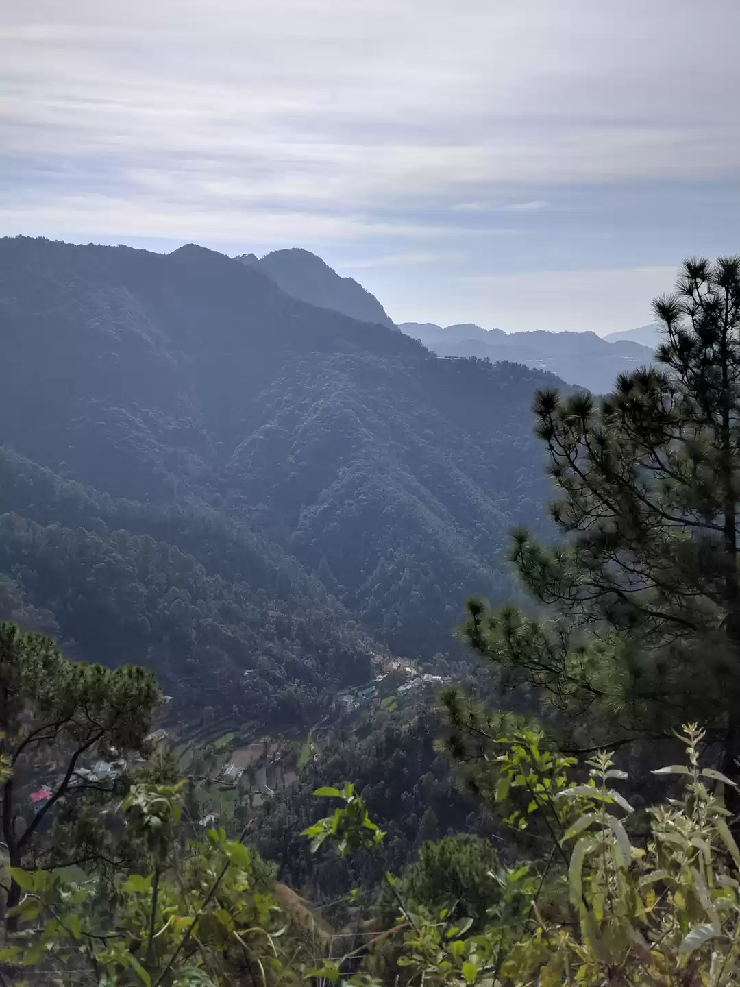 Photo of Shimla - More than j