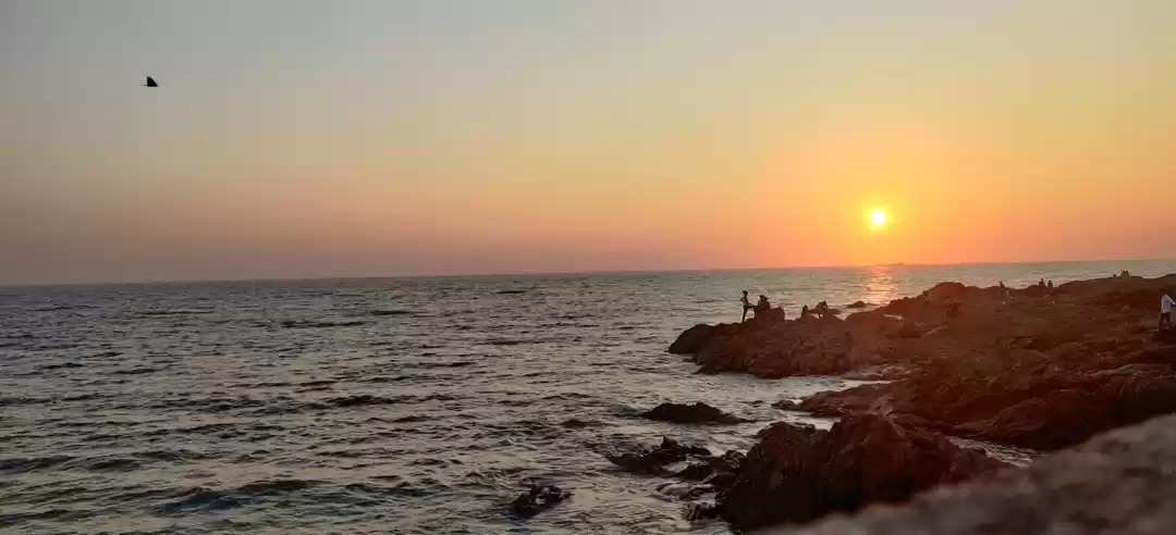 Photo of Velankanni Beach - U