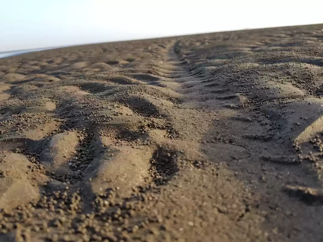Photo of Rangaon Beach
