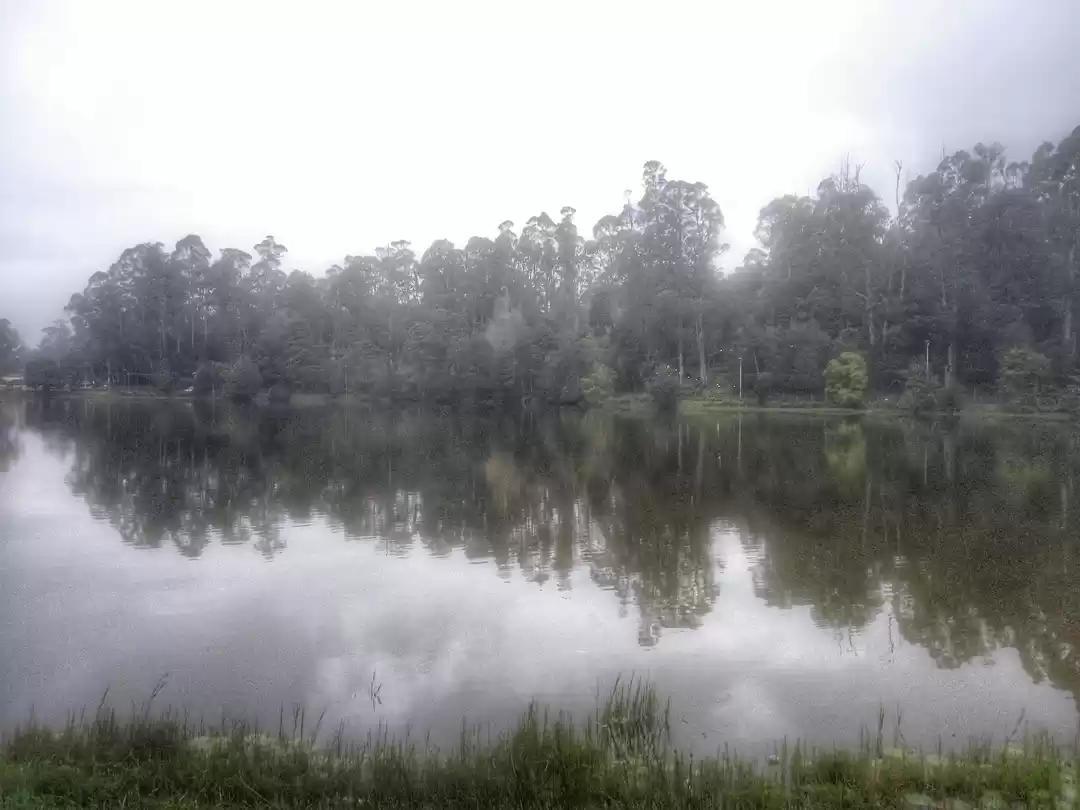 Photo of Kodaikanal ‘The Prin