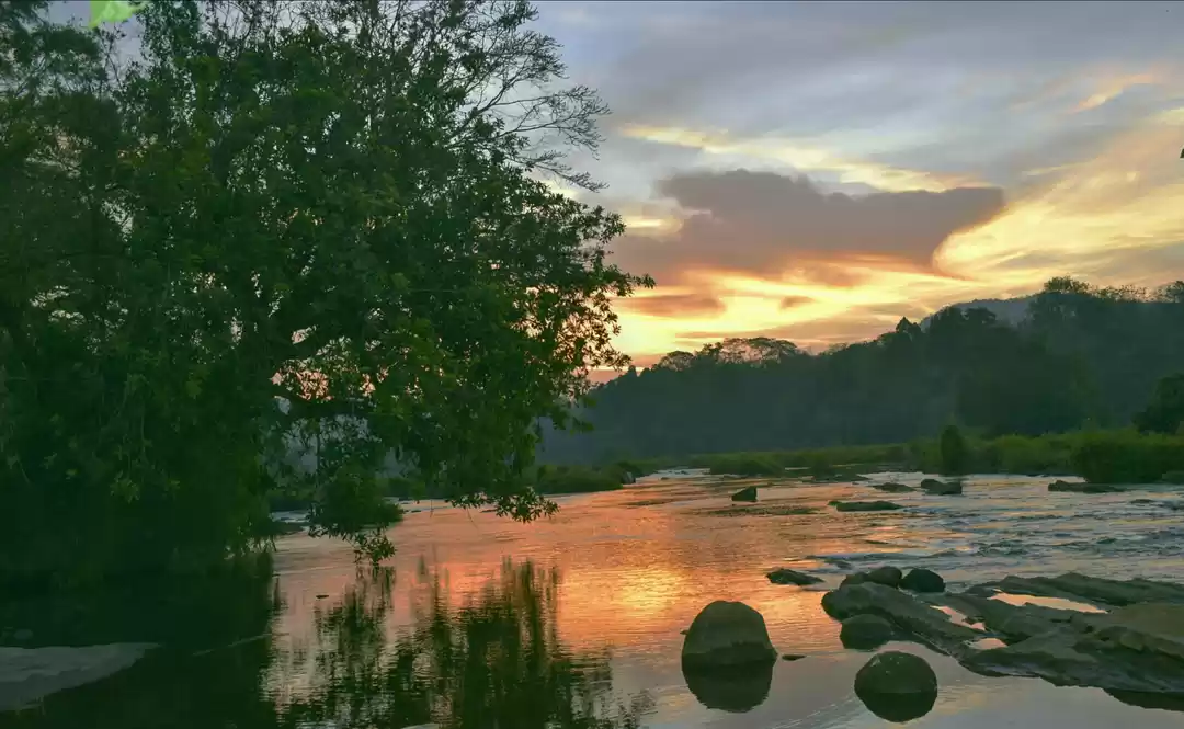 Photo of Amazing Athirappally