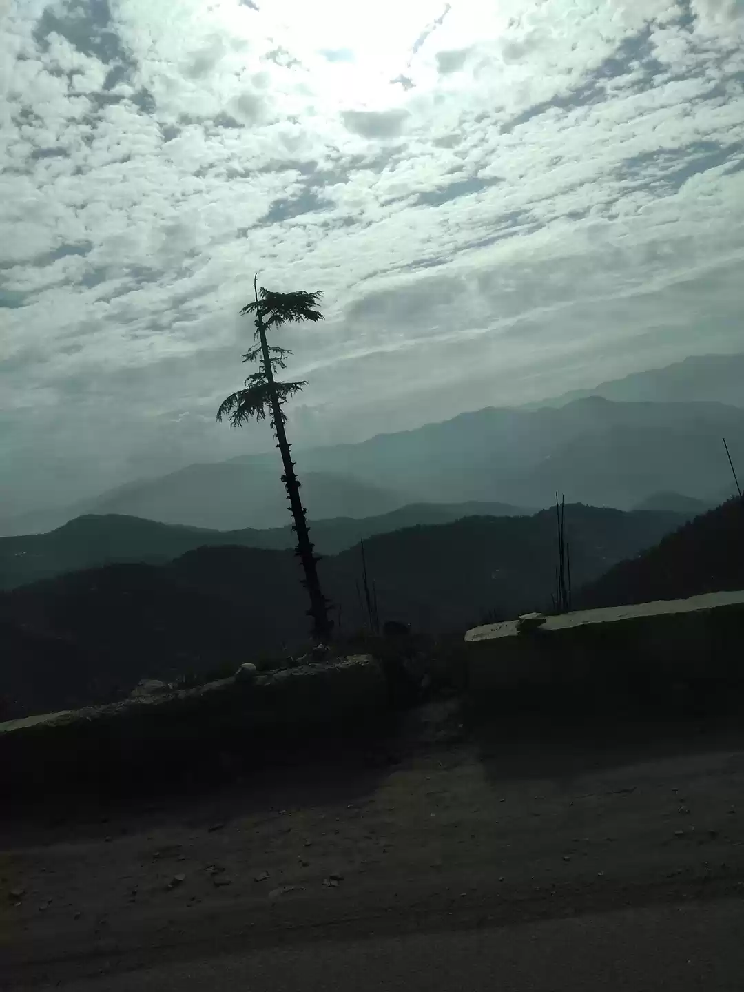 Photo of Travel alone and the