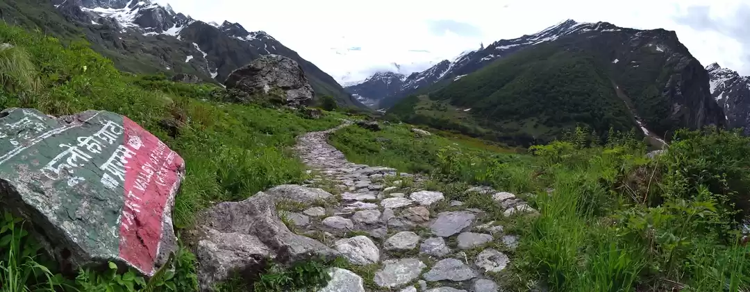 Photo of All alone in Valley 